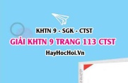 Giải KHTN 9 trang 113 Chân trời sáng tạo SGK